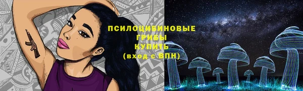 стафф Абинск